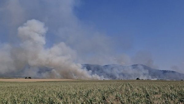 ДЕПОНИЈА И АЕРОДРОМ СПАШЕНИ ОД ПОЖАРА: У Вршцу цео дан гори ниско растиње и оранице