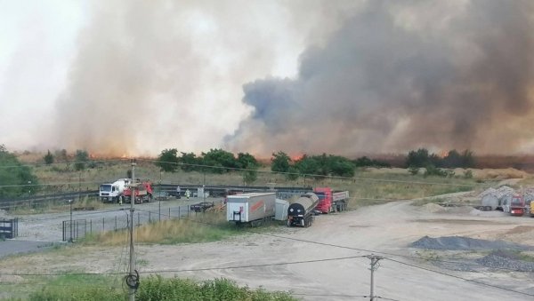 ВЕЛИКИ ПОЖАР У БЕОГРАДУ, ГОРИ БАТАЈНИЦА: Ватрена стихија шири се невероватном брзином, повређен ватрогасац (ФОТО/ВИДЕО) ВЕЛИКИ ПОЖАР У БЕОГРАДУ, ГОРИ БАТАЈНИЦА: Ватрена стихија шири се невероватном брзином, повређен ватрогасац (ФОТО/ВИДЕО)