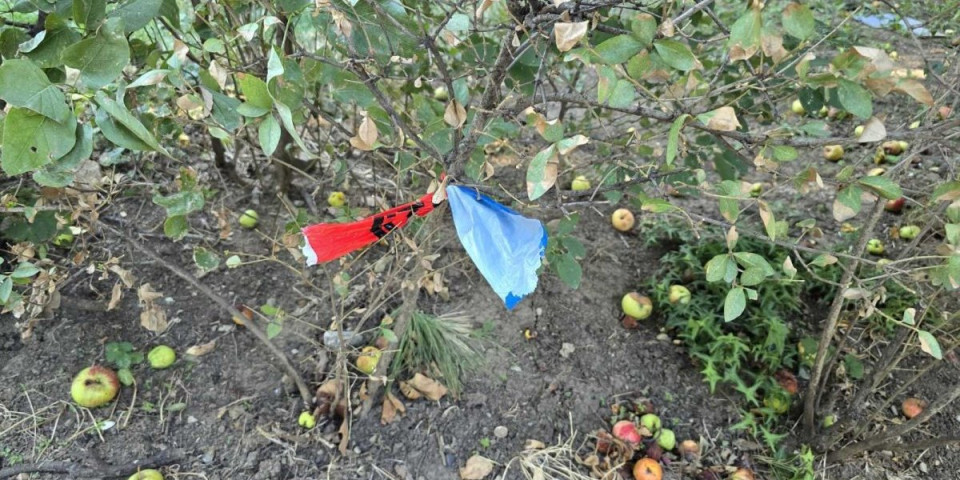 Ovo je mesto na kom je tinejdžer izboden i prebijen: Maskirani napadači ga "zaskočili" u Jerkoviću (FOTO)