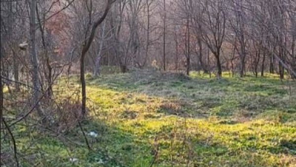 ПРОДАЈЕ СЕ ИМАЊЕ У ШУМАДИЈИ: Цена 4.000 евра, може и на четири месечне рате - има само једну ману